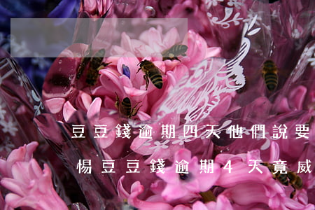 豆豆錢逾期四天他們說要打電話給我家人，警惕！豆豆錢逾期4天，竟威脅要打給你的家人？